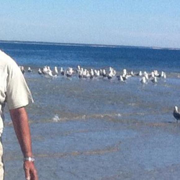 Meet your Posher, Sayed - Picture 1 of 1